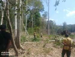 Hasil Ukur Ulang Sertifikat Longge Sesuai Data, Kinerja Pemdes Longge Dipertanyakan